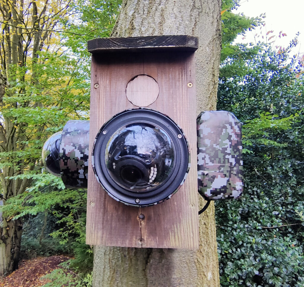 Camouflaged Network Camera Installation
